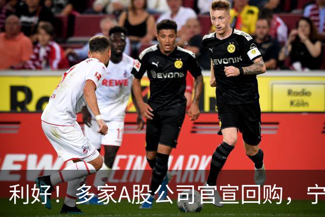 利好！多家A股公司官宣回购，宁德时代单日买入8亿元