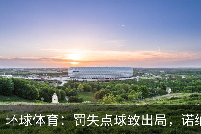 环球体育：罚失点球致出局，诺纳托称仍难入睡，弟媳安慰